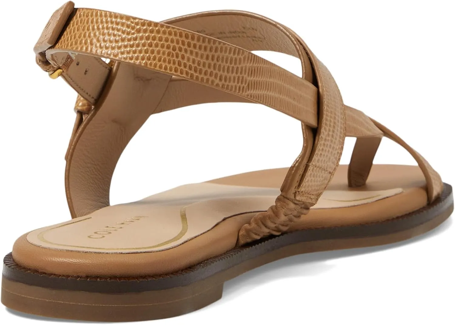 Cole Haan Women's Anica Lux Buckle Flat Sandal