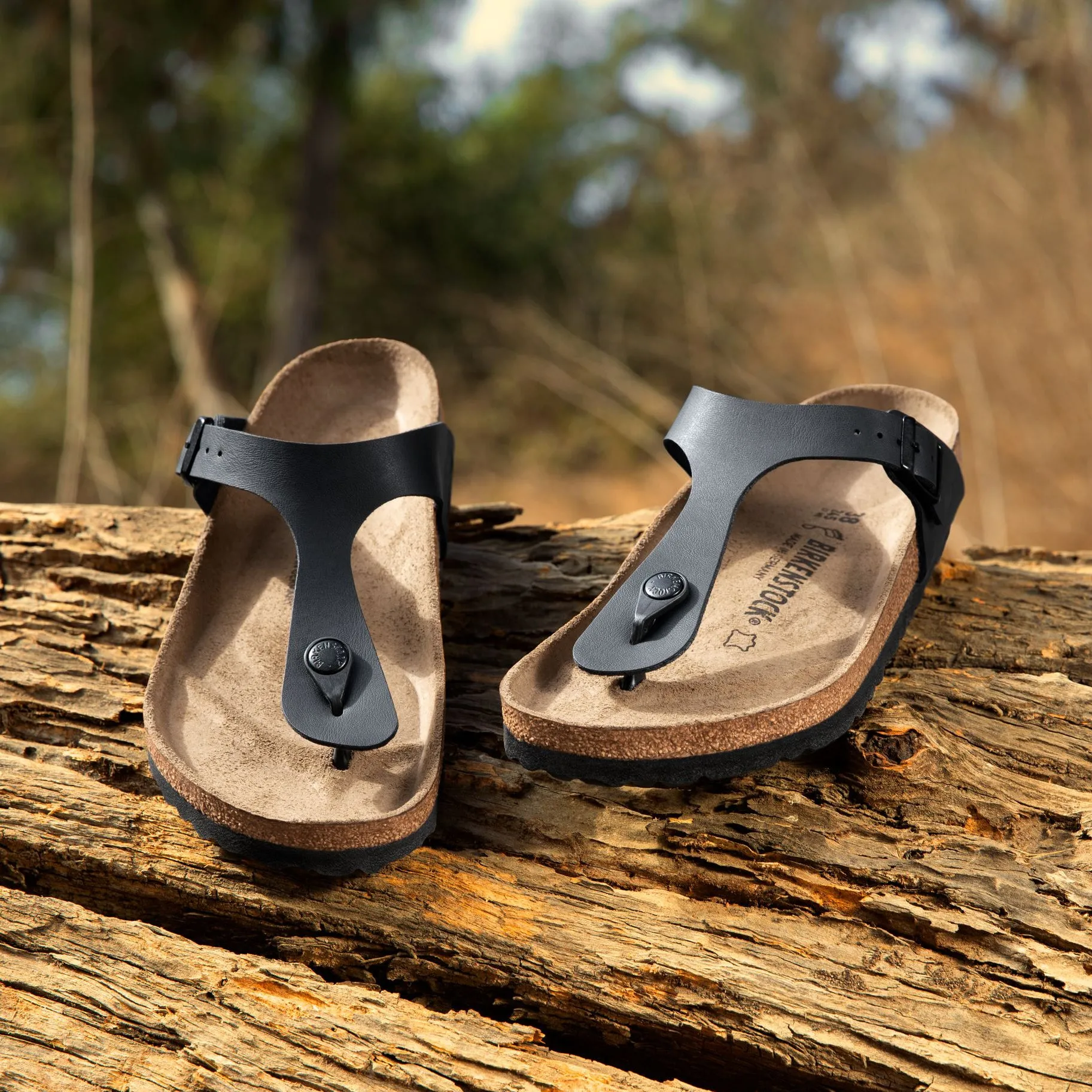 GIZEH - BLACK - BIRKO-FLOR