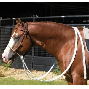 Professional's Choice - Loping Hackamore