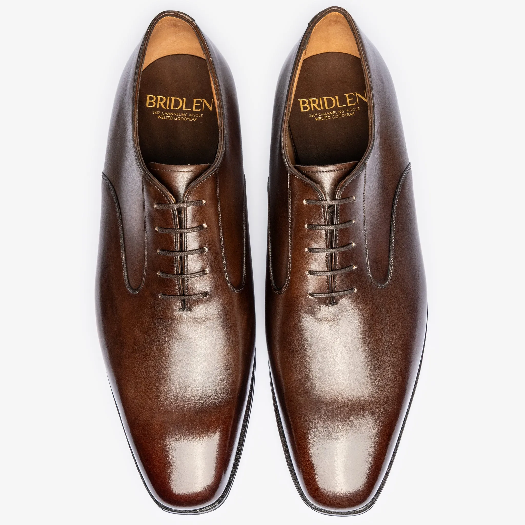 Swan Neck Oxford - Bitter Choco - Deus Last